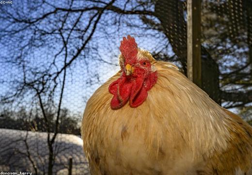 How Agriculture Training Can Boost Your Income
