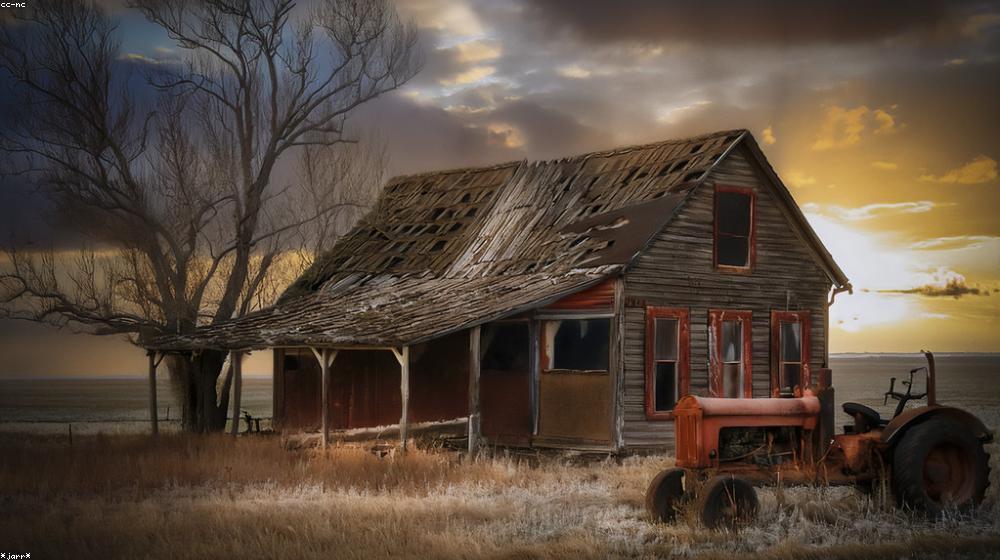 How to Improve Soil Health Naturally