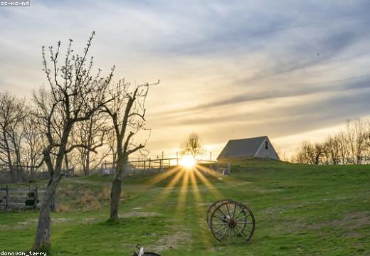 How to Improve Soil Health Naturally