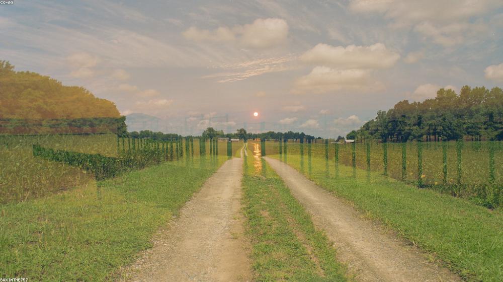 The Importance of Soil & Water Testing for Farmers
