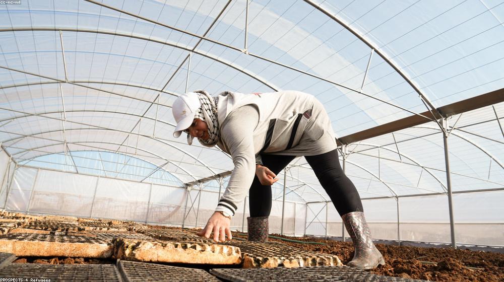 Why Organic Farming is the Future of Agriculture
