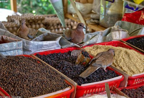 Seeds, Fertilizers & Inputs